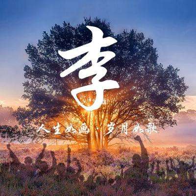 浴血长空bt版下载