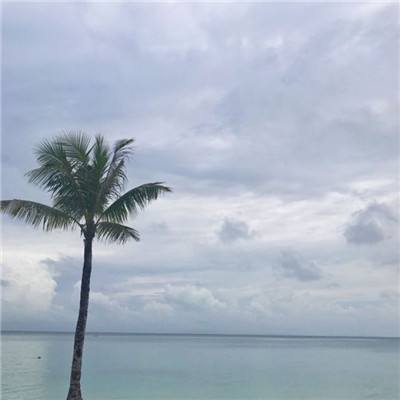 黎明游侠手游腾讯版下载